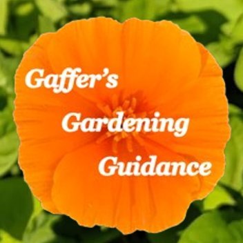 Everyone can have a green thumb - sometimes you just need some guidance! Visit our website to view guidance plans