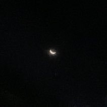 atar4x11a's profile picture. 