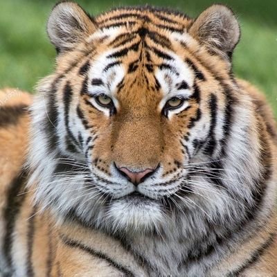 Arumuga25383863's profile picture. நானும் கூட உன் பிள்ளை... ஒரு ஞானமில்லாச் சிறு பிள்ளை...