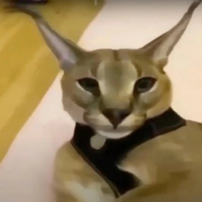 UnhostedM34705's profile picture. 