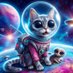 Zeta Reticulian cat (@dnsssm) Twitter profile photo Zeta Reticulian cat (@dnsssm) Twitter profile photo