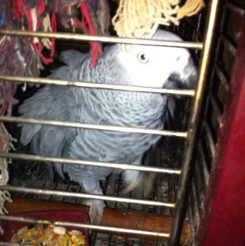 Edbeast88's profile picture. If you take life too seriously, you'll never get out alive