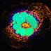 Gomez-Deza-Lab (@gomez_deza_lab) Twitter profile photo Gomez-Deza-Lab (@gomez_deza_lab) Twitter profile photo