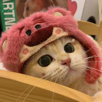 fruit_day (@day_fruit71850) 's Twitter Profile Photo fruit_day (@day_fruit71850) 's Twitter Profile Photo