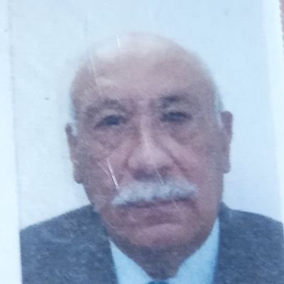 seluisordazur's profile picture. 