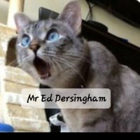 MrEDersingham(@MrEDersingham) 's Twitter Profileg