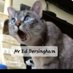 MrEDersingham(UK) (@mredersingham) Twitter profile photo MrEDersingham(UK) (@mredersingham) Twitter profile photo