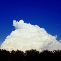 evader (@3vad0r) 's Twitter Profile