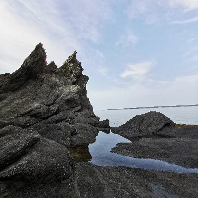 Yaox93524's profile picture. 