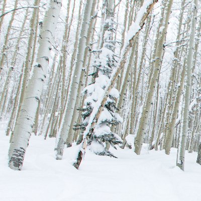 amymamyma12's profile picture. 