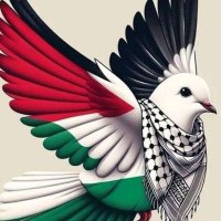 a.serdar (@extrenk) Twitter profile photo