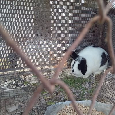 micaqui03283425's profile picture. 