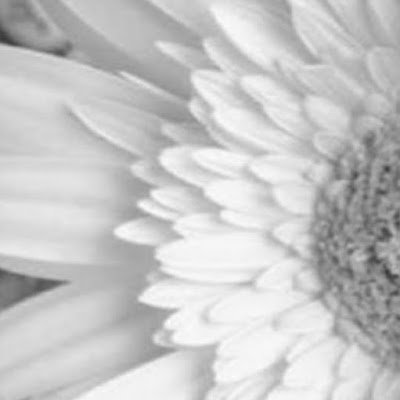 Cherie149257's profile picture. 