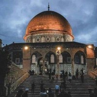 Rabia (@_1mutekellim) 's Twitter Profile