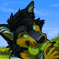 Frontrox (@frontrox) 's Twitter Profile Photo