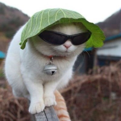 ibrahimisonline's profile picture. Living...