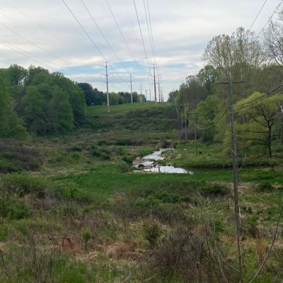 moor_willem's profile picture. 