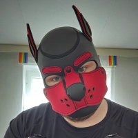 Kyro the BearPup 🇨🇿🐻🐶👟🧦🔜Easter Berlin (@kyro_bearpup) 's Twitter Profile