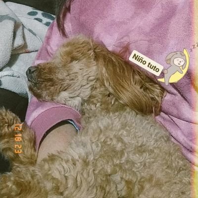 143 ~ Multistan ~ esp/eng ~ ❤️🇨🇱 ~ punztwt ~ pptwt ~ totemtwt ~ dttwt ~ tina lover
~ follow≠endorse ~