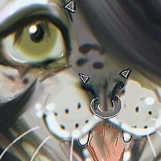 Rhokii 🍉さんのプロフィール画像