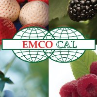 EMCO CAL (@emco_cal) 's Twitter Profile Photo EMCO CAL (@emco_cal) 's Twitter Profile Photo