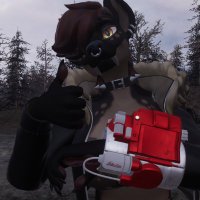 miss fallout (@missfallout1) 's Twitter Profile
