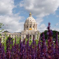 Minnesota Senate Information (@mnsenateinfo) 's Twitter Profile Photo Minnesota Senate Information (@mnsenateinfo) 's Twitter Profile Photo