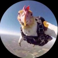 Wayne Sweigart (@semidrychicken) 's Twitter Profile