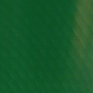 antichotano's profile picture. 