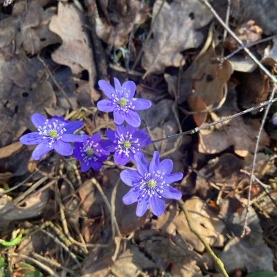 Jeoff246's profile picture. ⚛️