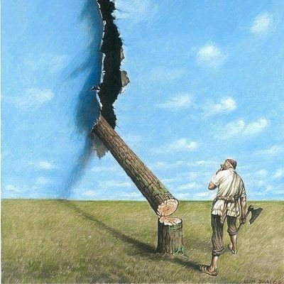 MartyM731's profile picture. 