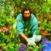 Karma Gardener (@karma_gardener) Twitter profile photo Karma Gardener (@karma_gardener) Twitter profile photo