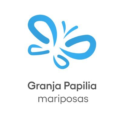 mariposapapilia's profile picture. Cuenta oficial de Papilia en Twitter. Síguenos y conoce todo lo relacionado con el increíble mundo de entregar deseos con mariposas. Granja Papilia Mariposas