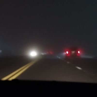 Sharkboness's profile picture. 