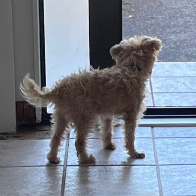 kindaokae's profile picture. 