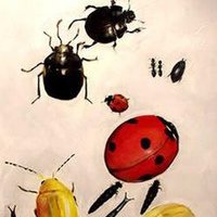 ぽち (@ice_coffee2000) Twitter profile photo