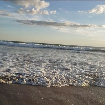 🏳️‍🌈 Curioso, callado, respetuoso, a la espera de conocer amigos o aventuras.