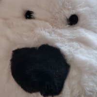 뭉개 (@kissy_cloud) 's Twitter Profile
