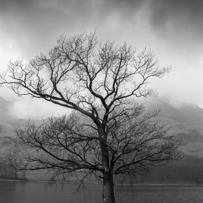 shakilH83841954's profile picture. 