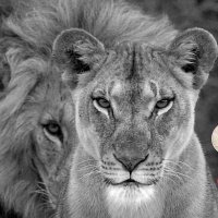 𓆩𝖚𓆪 (@umuttcantas) Twitter profile photo