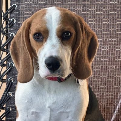 dzaiman's profile picture. Retired Paramedic. Opinions are my own.