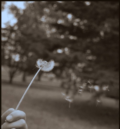 mirtalapaz's profile picture. amo los momentos, adoro ser libre y la paz. Amiga de la naturaleza mas q d la humanidad...