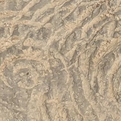 ZAPPADIOL's profile picture. 