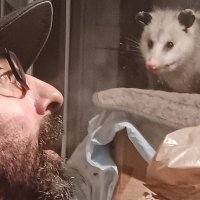 Matthew (@matthew15875641) 's Twitter Profile