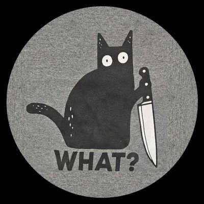 Just a Cat holding a knife! 
Pure Entertainment Meme Coin
No Value or Utility!
TG: https://t.co/VVhcCxk9ir
LP 🔥 Renounced/Locked