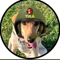 Amie & 🌈 Bailey & Private Tula(@59sept) 's Twitter Profile Photo