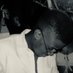 Emmanuel Joseph๐ง (@segs___) Twitter profile photo Emmanuel Joseph๐ง (@segs___) Twitter profile photo