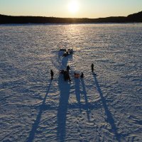IRN Forêts froides (@cold_forests) 's Twitter Profile