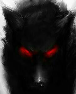 prosyindicate's profile picture. live life as it was ur last