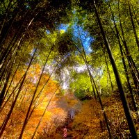 T@KE🎋(繁忙期につき低浮上🙇♂️) (@ronron647) 's Twitter Profile Photo T@KE🎋(繁忙期につき低浮上🙇♂️) (@ronron647) 's Twitter Profile Photo